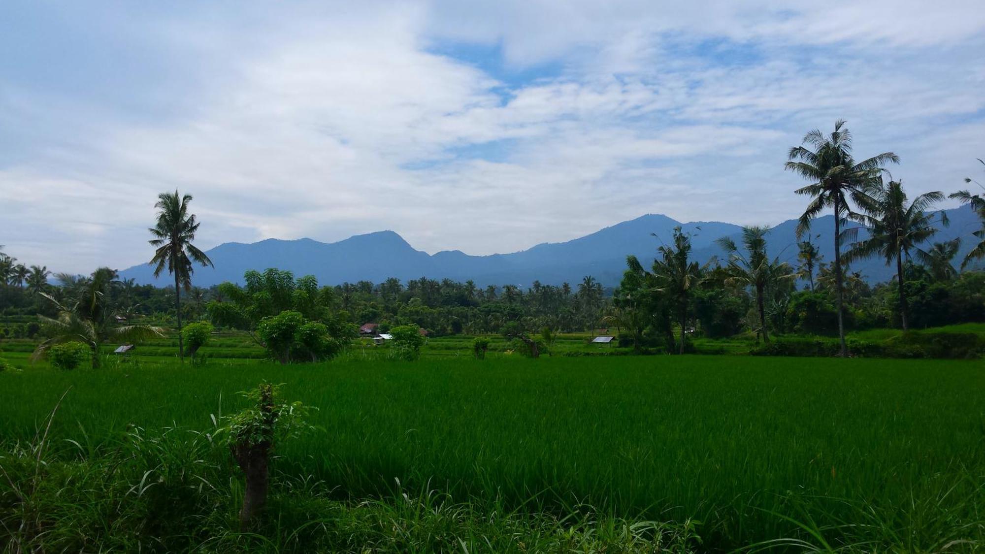 Pondok Manis Singaraja Eksteriør bilde