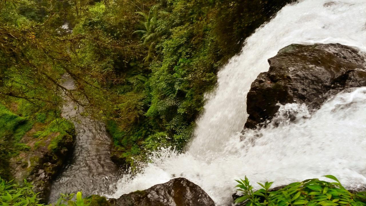 Pondok Manis Singaraja Eksteriør bilde