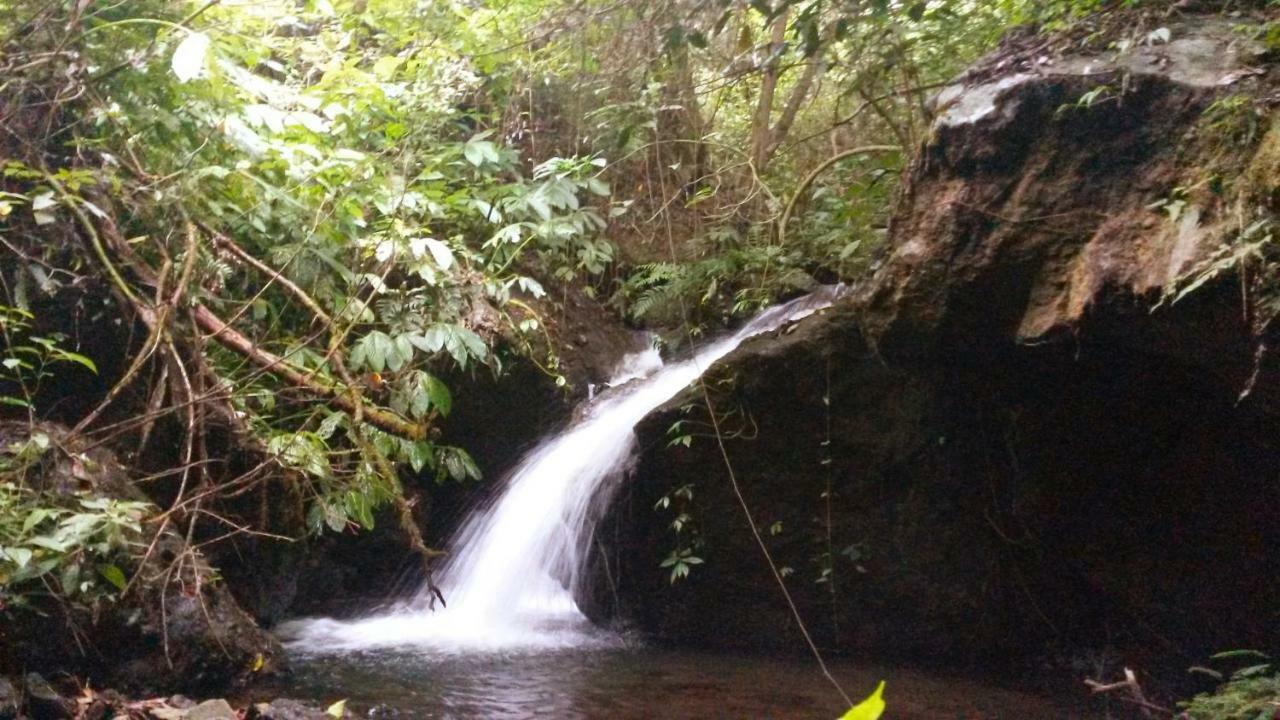 Pondok Manis Singaraja Eksteriør bilde